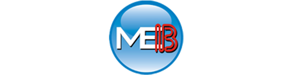 Middle East Bankers (Egypt)